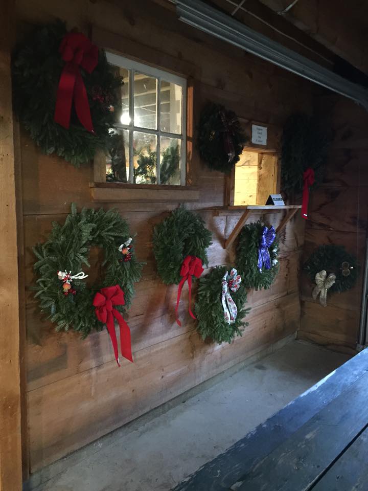 Hartikka Tree Farm Visit CT